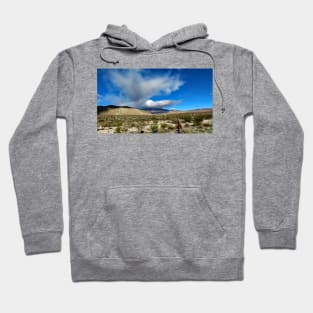 Anza Borrego State Park Hoodie